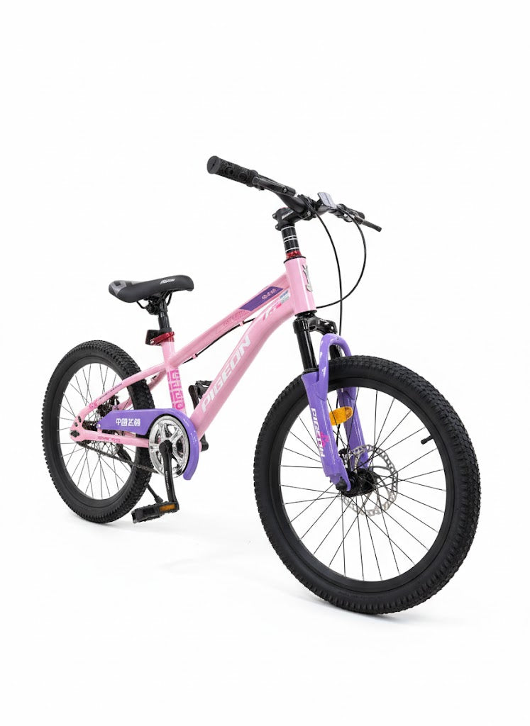 20 SIZE SINGLE SPEED