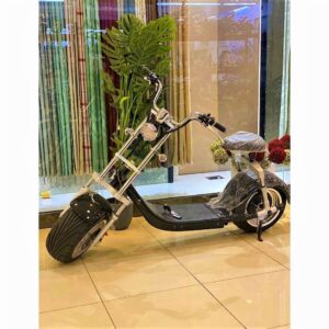Big Harley Max Speed 60-70km/h Electric Bike