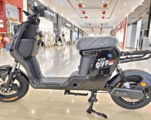 ED01 800W Rohan Wings Electric Bike