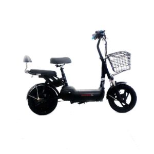 Geun Horse Electric Bike | Affordable Price | WBBicycles