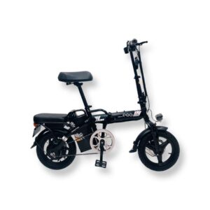 Winner Sky KM-10 Electric Foldable Bike | Wazeer Begum Bicycles