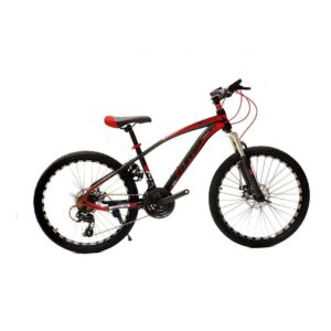 ASTER Phoenix Mountain Bike 24”