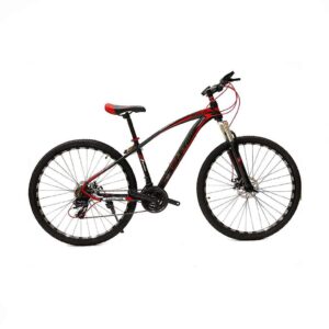 ASTER Phoenix Mountain Bike 29”