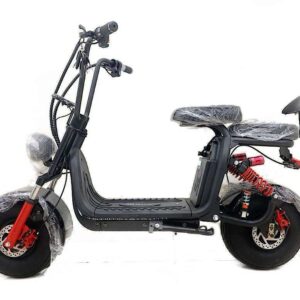 Mini Harley Scooter Coco