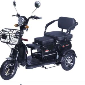 Electric Cargo Scooter Tricycle For 3 Passengers | WBBicycles