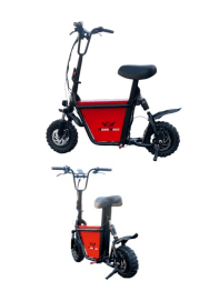 M2 (FIDO PRO) Rohan Wings Scooters