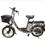 TJ-18 Rohan Wings Electric Bike