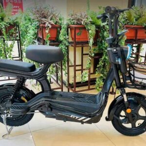 YZ14 Foldable Rohan Wings Electric Bike