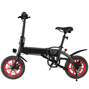 WIND HORSE C19 Folding Electric Bike