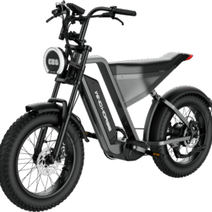 WIND HORSE D3 Electric Bike