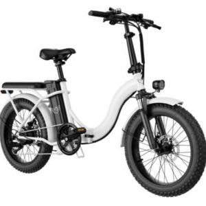 WIND HORSE W2 B Electric Bike