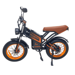 Kugoo V5 Electric Bike